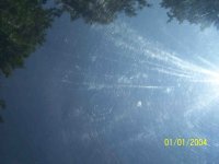 100_1738a.jpg
