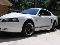 show car 2.jpg