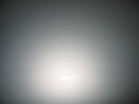 IMG_1405_tn.jpg