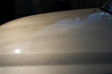 IMG_1138 copy.jpg