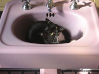 tn_IMG_0256.JPG
