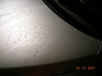 1000p 3.jpg