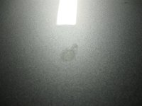 spot9.jpg