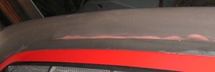 tail2.jpg
