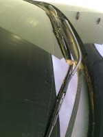 thumb_IMG_1416_1024.jpg