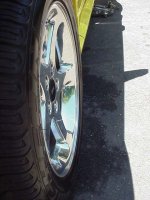 rims reflection copy.jpg