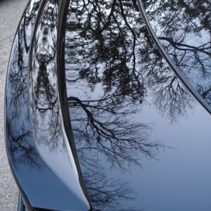 Lexus IS300 Trunk